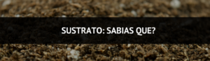 sustrato growers tips de cultivo